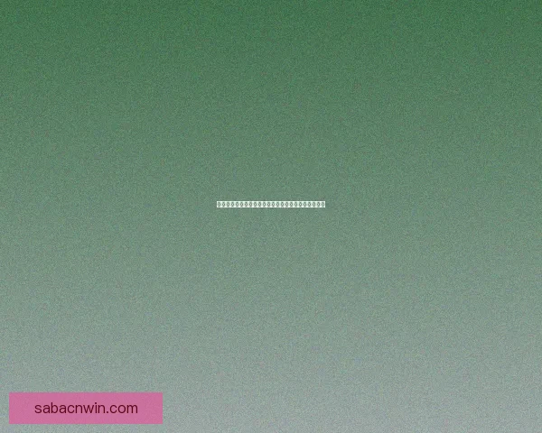 沙巴体育APP全新体验助力用户轻松掌握最新赛事资讯与数据分析